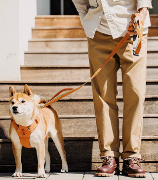 Madden three-eyelet sailing sneakers, loafers, British vintage spring shoes, old money style cargo leather